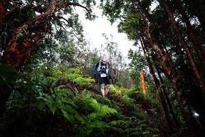 BIB: 
                            <button type="button" onclick="openModal(26205047)" class="btn btn-primary btn-sm float-right btn-popup" data-toggle="modal" data-target=".modal-high-quality">
                        <i class="fas fa-shopping-cart"></i> Add to Cart
                    </button>
                                            <button type="button" onclick="isThisMe(26205047, true)" class="btn btn-success btn-sm float-right btn-popup btn-isme hidden" data-toggle="tooltip" data-placement="bottom" title="นี่คือรูปของคุณใช่ไหม คลิกที่นี่เพื่อเอาเข้าอัลบั้ม">
                        <i class="fas fa-plus"></i> Add to album
                    </button>
                    <button type="button" onclick="isThisMe(26205047, false)" class="btn btn-warning btn-sm float-right btn-popup btn-isnotme hidden">
                        <i class="fas fa-ban"></i> Remove from album
                    </button>